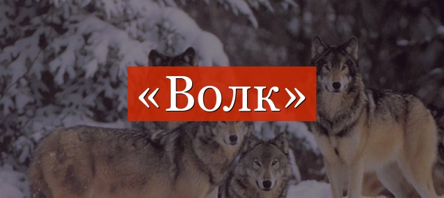 Фонетический разбор слова «волк»