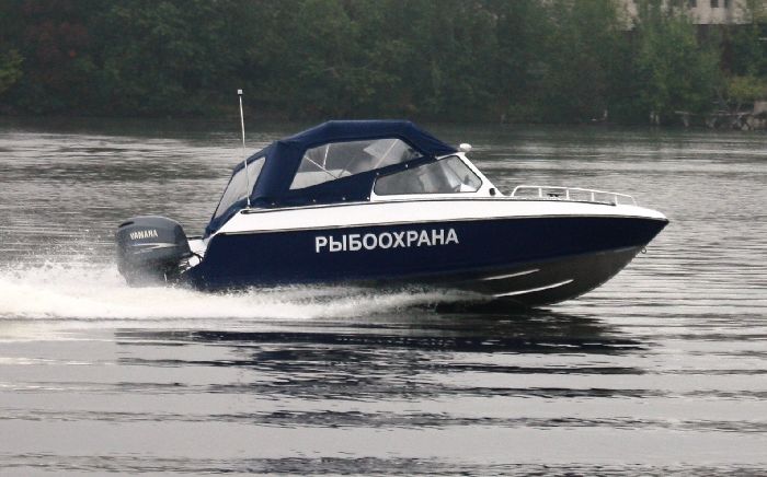 Рыбоохранная деятельность Рыбоохранная деятельность