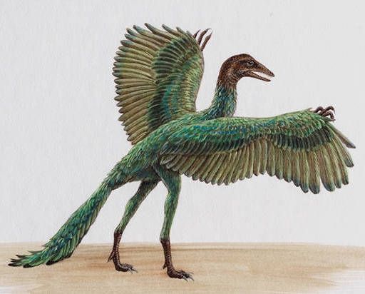 Археоптерикс – самая древняя птица
