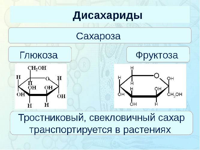 Дисахариды и полисахариды презентация