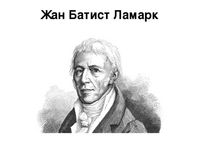 Жан Батист Ламарк Жан Батист Ламарк