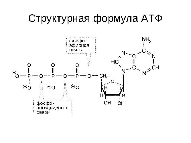 Киа атф сп 4