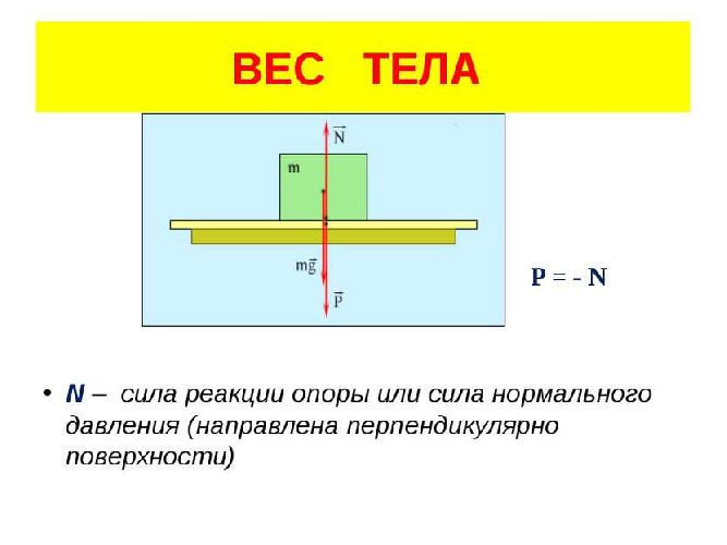 fizika 53732 ves tela i reakciya opory