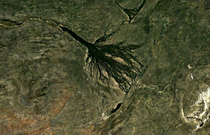 Дельта реки Окаванго, снимок из космоса Дельта реки Окаванго, снимок из космоса
