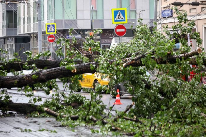 Последствия шторма в Москве