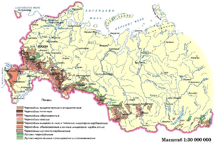 Черноземы России, карта (2012 год)