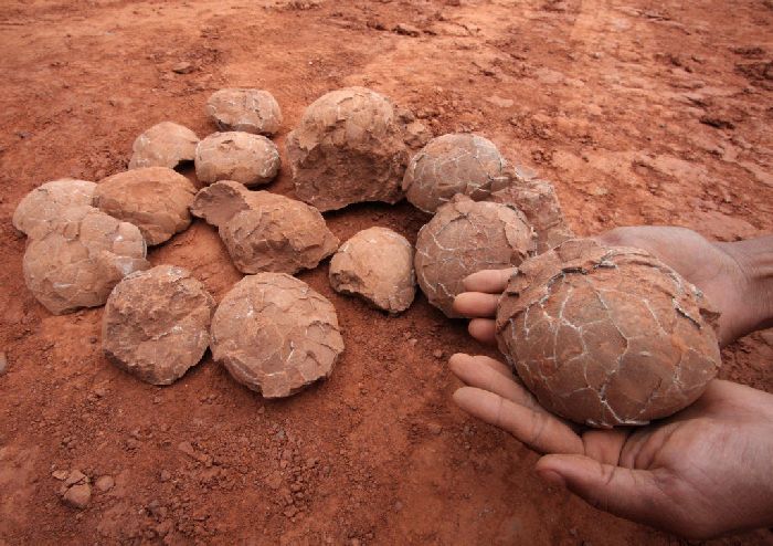 как узнать климатический пояс. geografiya 109518 pustynya gobi yayca dinozavrov. как узнать климатический пояс фото. как узнать климатический пояс-geografiya 109518 pustynya gobi yayca dinozavrov. картинка как узнать климатический пояс. картинка geografiya 109518 pustynya gobi yayca dinozavrov.