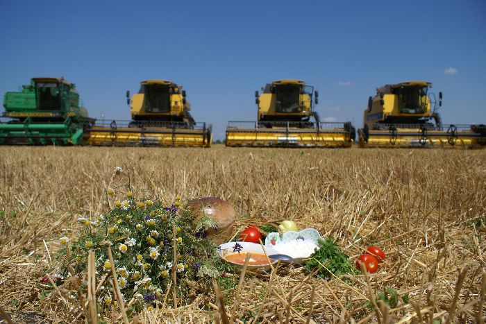 Сельское хозяйство Кубани