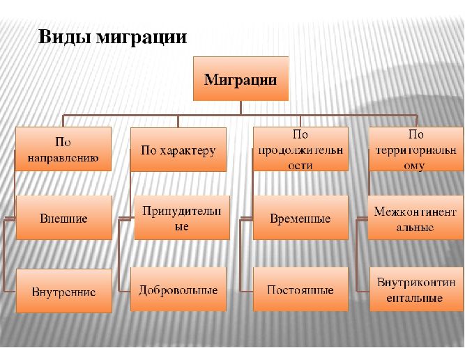 Составьте схему территориальной подвижности вашей семьи