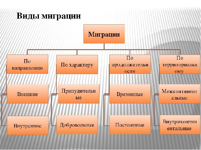 Основные направления эмиграции в россии. Различие миграций схема. Виды миграции. Миграция виды миграции. Типы миграции таблица.