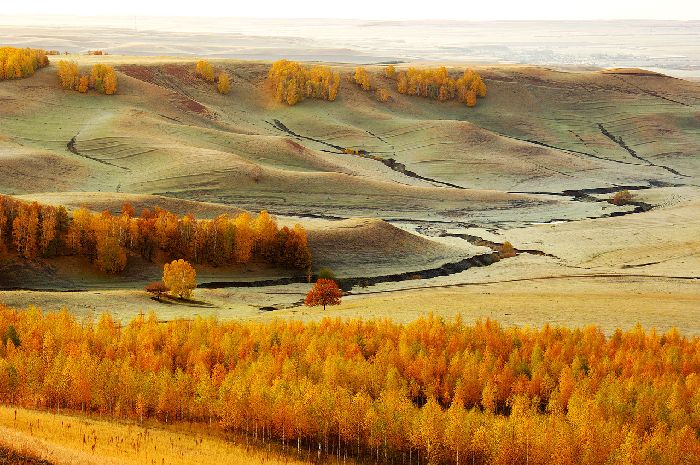 Бугульминско-Белебеевская возвышенность Бугульминско-Белебеевская возвышенность