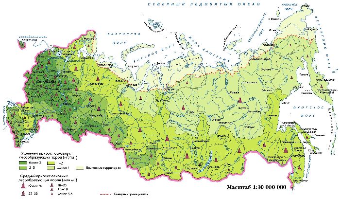 Лесное хозяйство России на мировой карте (2012 год)