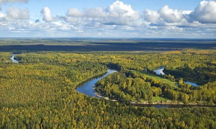 Западно сибирская равнина фото