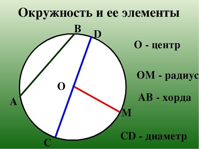 Элементы окружности