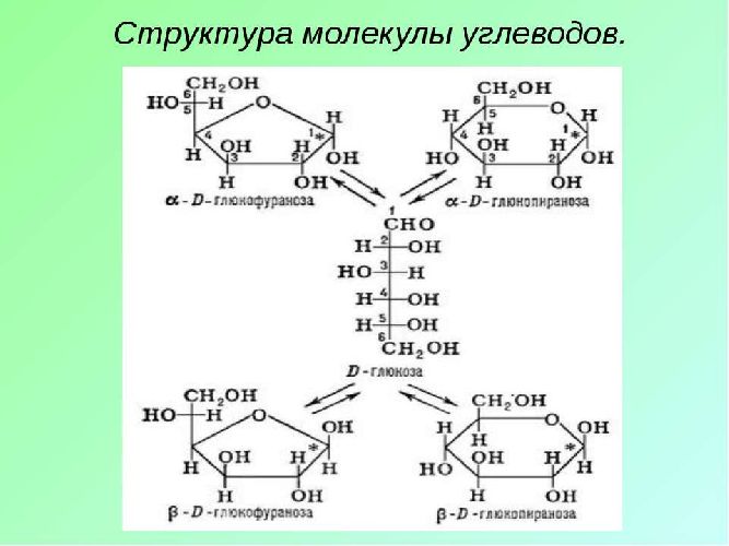 Структура углевода