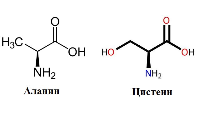 Аланин структурная формула картинка