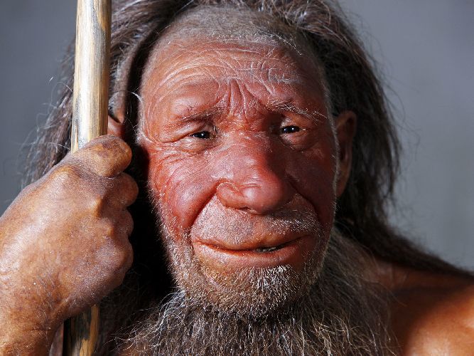 Неандерталец Википедия Доклад