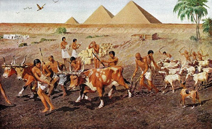 Древний Египет. Земледелие