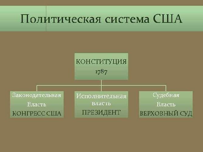 Политическая структура схема