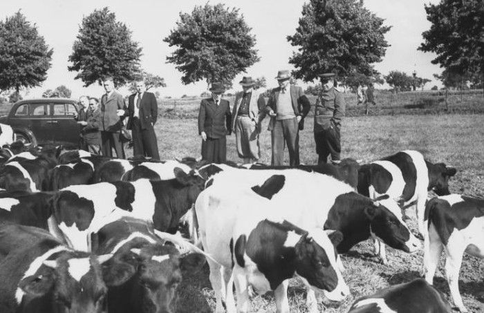 Фермерское хозяйство в 1933 году