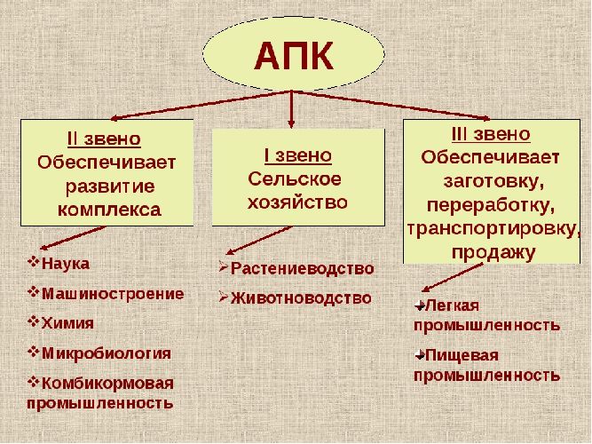 Какая отрасль не входит в первое звено апк