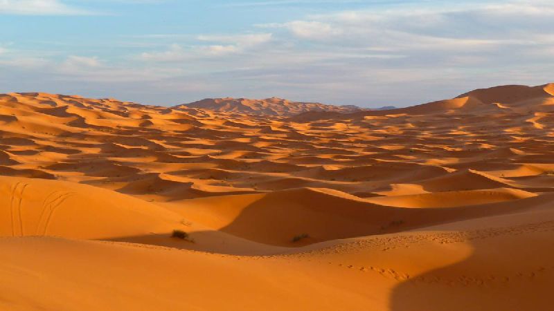 Горячие пески пустынь