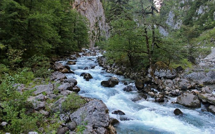 Лазаревское горная река фото