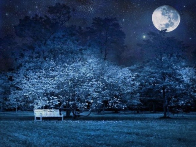 Сочинение по теме Стихотворение А. А. Фета «Сияла ночь. Луной был полон сад. Лежали…».