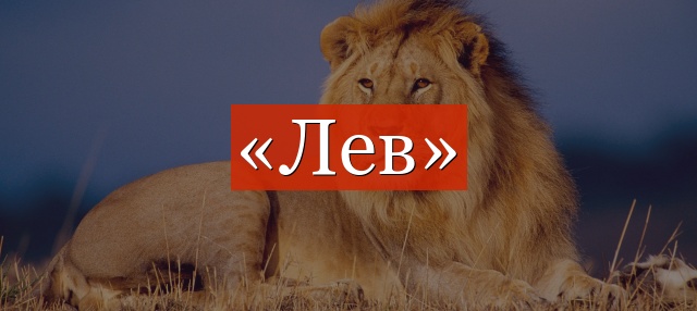 Фонетический разбор слова «лев»