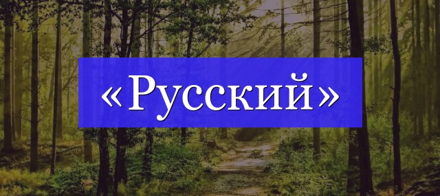 Корень слова «русский»