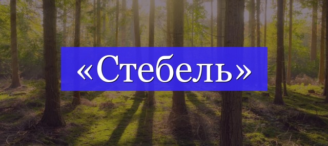 Ответы qwkrtezzz.ru: слово стебелёк,нужно подобрать проверочное слово,чтобы проверить 2ое е