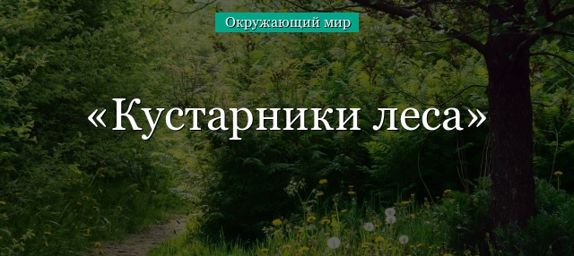 Природа Воронежской области
