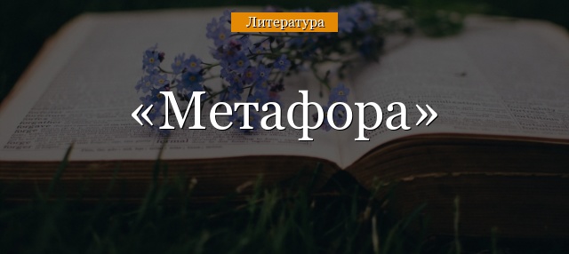 Развернутая метафора в русском языке