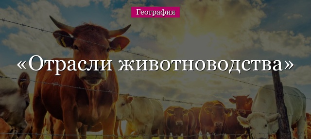 Реферат: Современное состояние животноводства в России