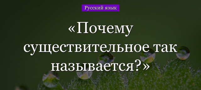 К самостоятельным частям речи в русском языке относятся следующие: