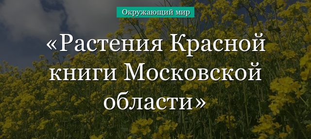 Растения Красной книги Московской области