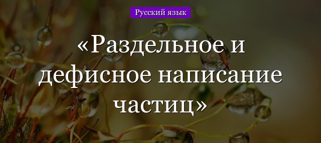 Перечень частиц в русском языке. Правописание частиц