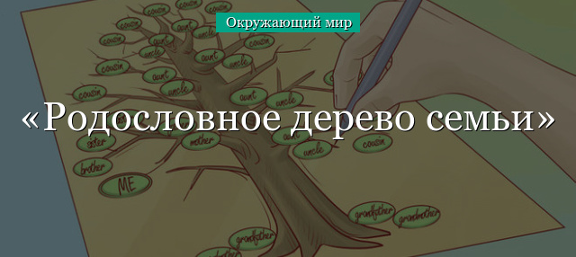 Учимся составлять родословную и рисовать генеалогическое древо - Репетитор для мамы