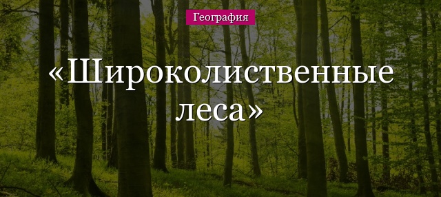 Широколиственные леса России на карте – деревья зоны