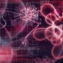 Шаблоны программ для внесения в электронный журналкалендарно-тематическое планирование по физике (8 класс)