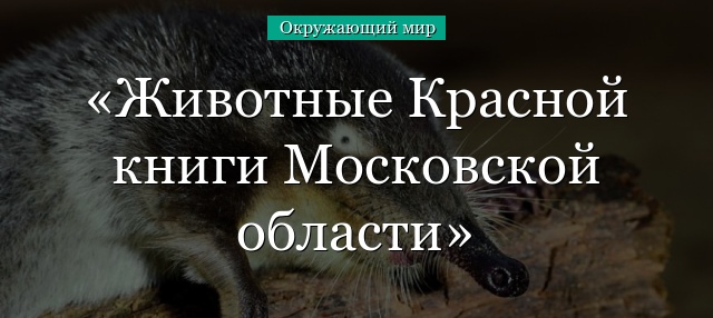 Животные Красной книги Московской области
