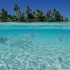 ВОДНАЯ ФАУНА И МОРСКИЕ ЖИВОТНЫЕ