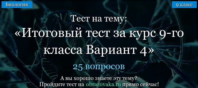 Тест на тему Итоговый тест за курс 9-го класса Вариант 4