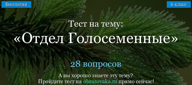 Тест на тему Отдел Голосеменные