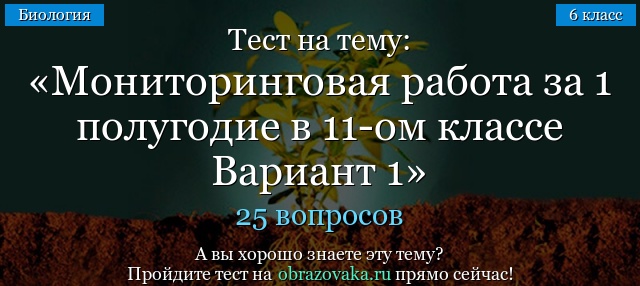 Тест на тему Мониторинговая работа за 1 полугодие в 11-ом классе Вариант 1