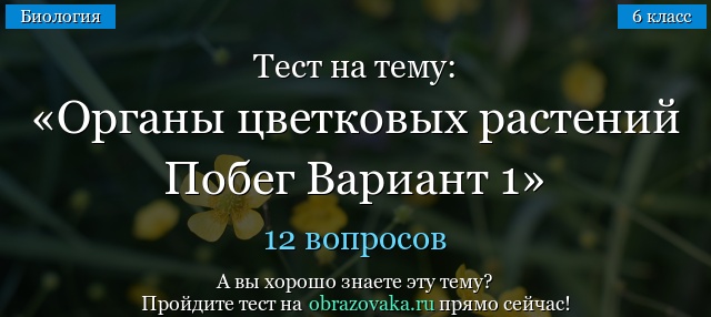 Тест на тему Органы цветковых растений Побег Вариант 1