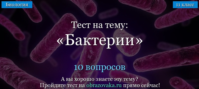 Тест Бактерии (11 класс)