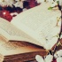 «Под стать» или «подстать» как пишется правильно слово?