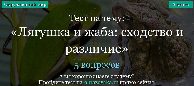Тест на тему «Лягушка и жаба: сходство и различие»