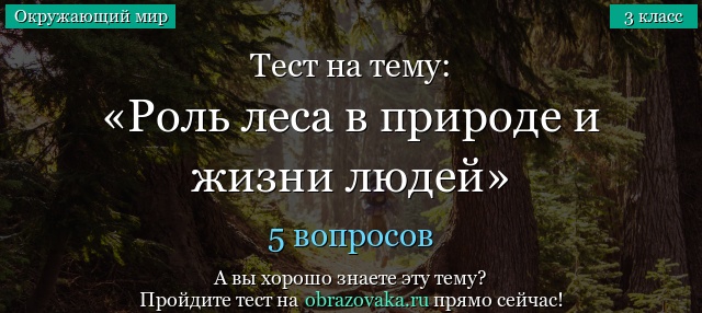 Тест на тему «Роль леса в природе и жизни людей»